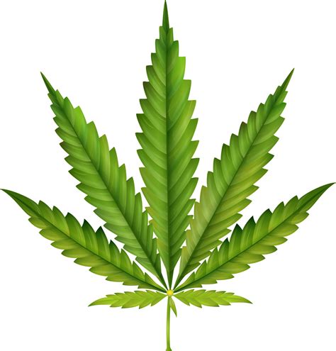 Marijuana leaf clipart - Find Marijuana Clipart Leaf Silhouette stock images in HD and millions of other royalty-free stock photos, 3D objects, illustrations and vectors in the Shutterstock collection. Thousands of new, high-quality pictures added every day.